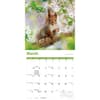 image Squirrels 2027 Wall Calendar Second Alternate Image