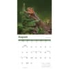 image Squirrels 2027 Wall Calendar Third Alternate Image