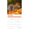 image Squirrels 2027 Wall Calendar Fourth Alternate Image