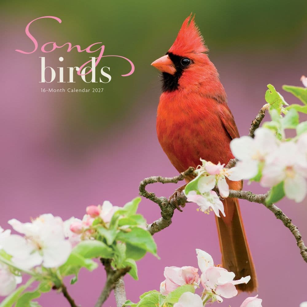 image Songbirds 2027 Wall Calendar Main Product Image