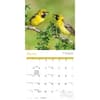 image Songbirds 2027 Wall Calendar Second Alternate Image