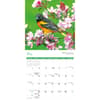 image Songbirds 2027 Wall Calendar Third Alternate Image