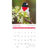 image Songbirds 2027 Wall Calendar Fourth Alternate Image