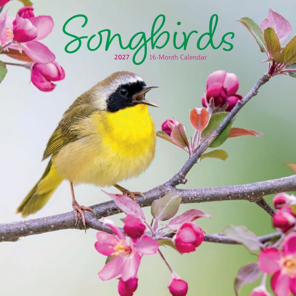 image Songbirds 2027 Mini Wall Calendar Main Product Image