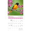 image Songbirds 2027 Mini Wall Calendar Second Alternate Image