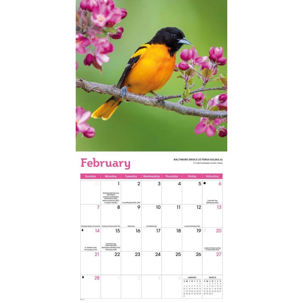 Songbirds 2027 Mini Wall Calendar Second Alternate Image