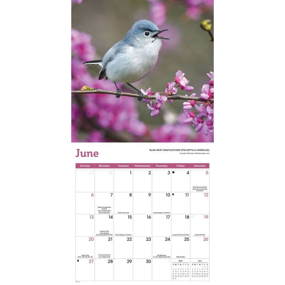 Songbirds 2027 Mini Wall Calendar Third Alternate Image