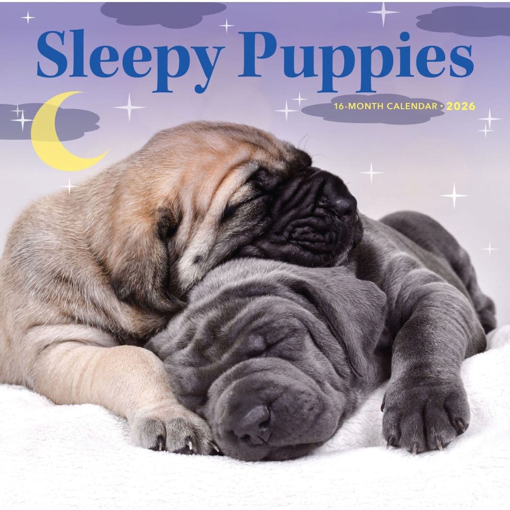 Sleepy Puppies 2027 Wall Calendar Main Product Image