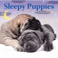 image Sleepy Puppies 2027 Wall Calendar Main Product Image