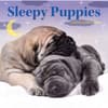 image Sleepy Puppies 2027 Wall Calendar Main Product Image