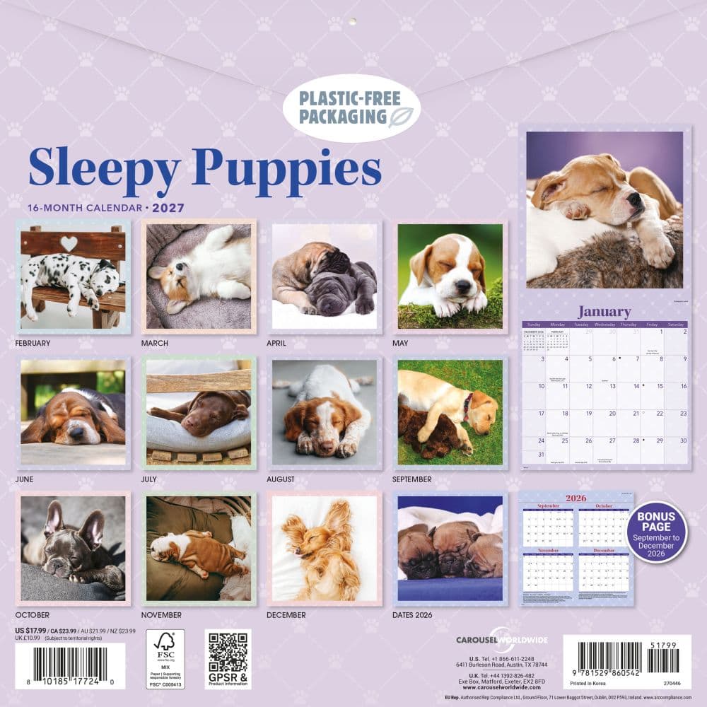 Sleepy Puppies 2027 Wall Calendar First Alternate Image
