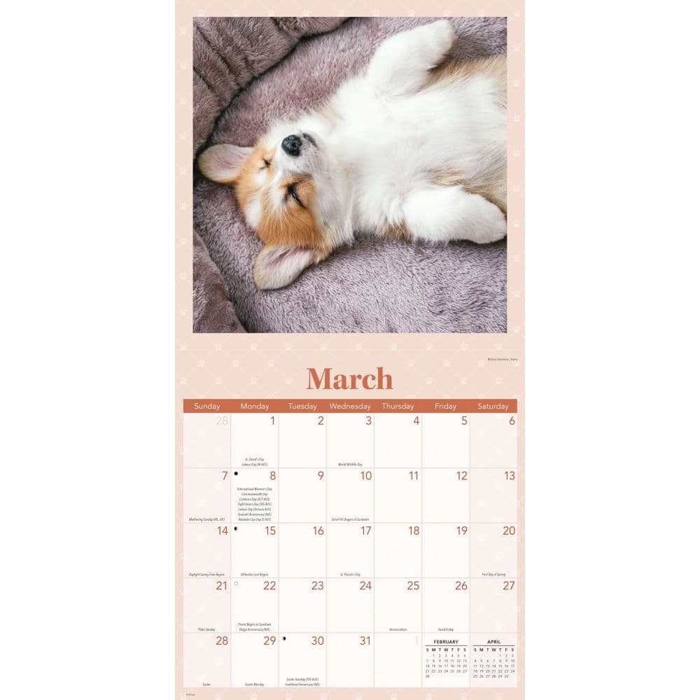 Sleepy Puppies 2027 Wall Calendar Second Alternate Image