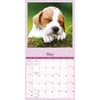 image Sleepy Puppies 2027 Wall Calendar Third Alternate Image