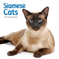 image Siamese Cats 2027 Wall Calendar Main Product Image