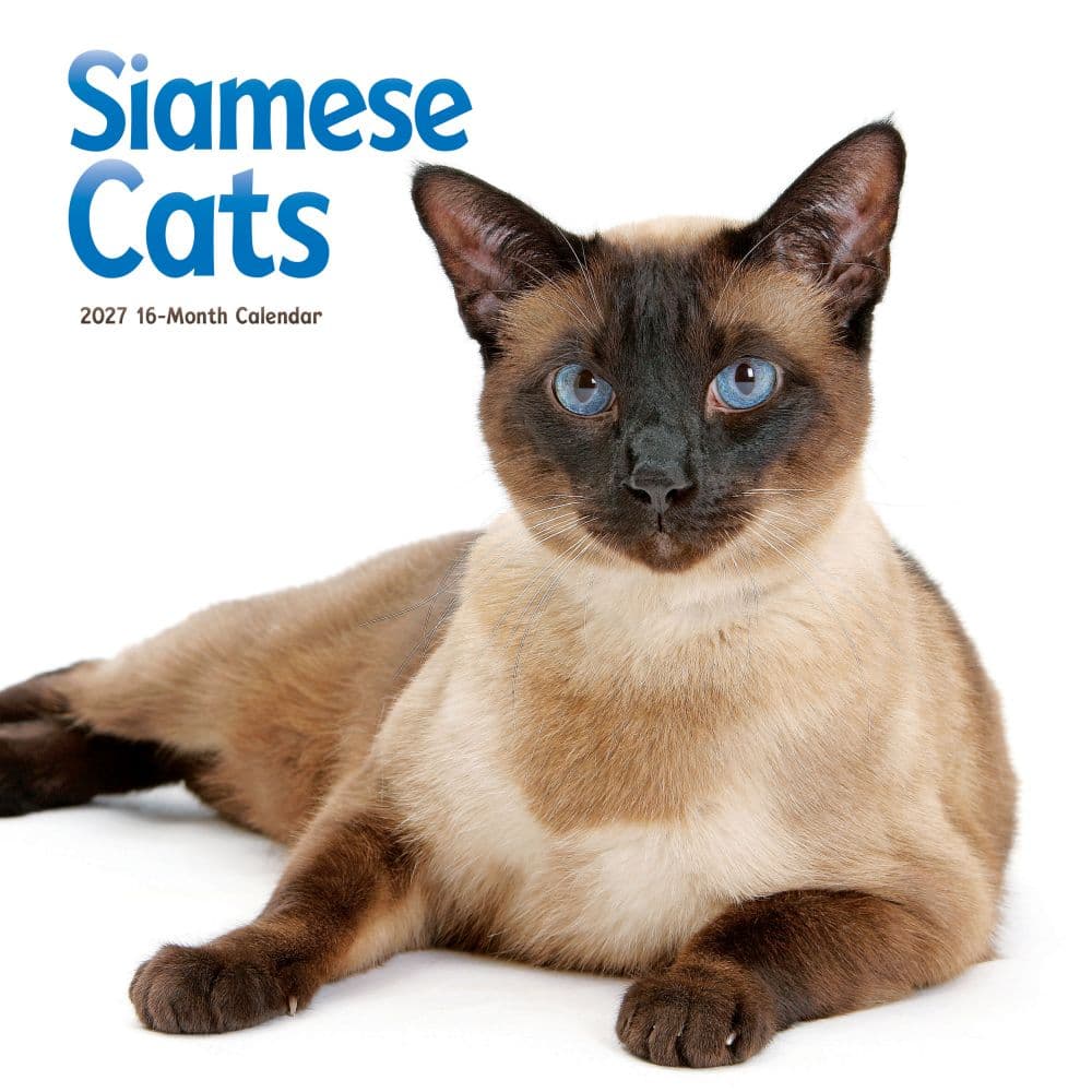 image Siamese Cats 2027 Wall Calendar Main Product Image