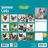 image Siamese Cats 2027 Wall Calendar First Alternate Image