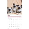 image Siamese Cats 2027 Wall Calendar Third Alternate Image