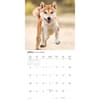 image Shiba Inu 2027 Wall Calendar Second Alternate Image