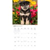 image Shiba Inu 2027 Wall Calendar Third Alternate Image