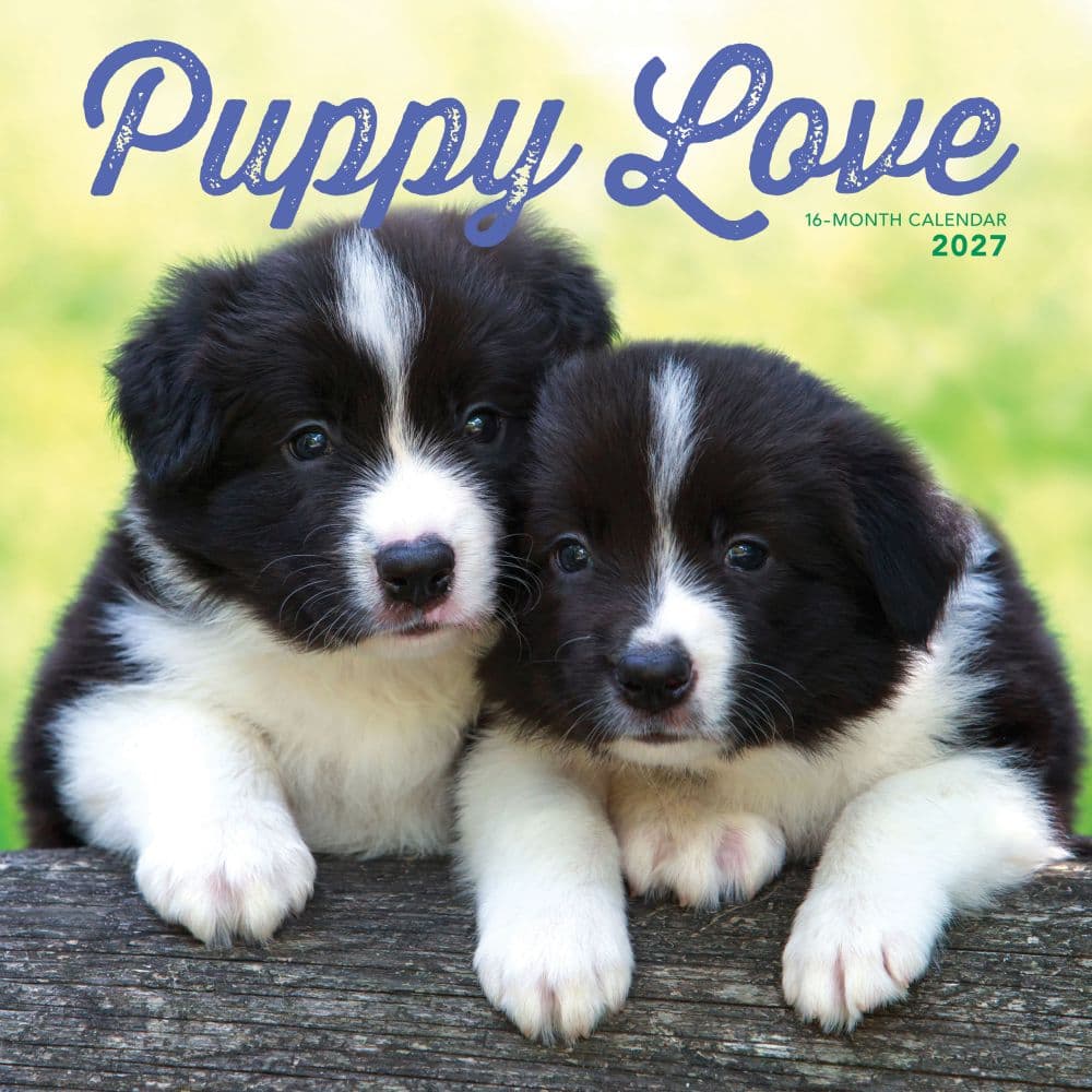 Puppy Love 2027 Wall Calendar Main Product Image