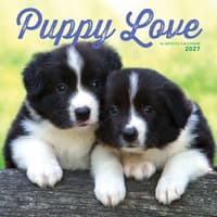 image Puppy Love 2027 Wall Calendar Main Product Image