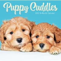 image Puppy Pals Plato 2027 Wall Calendar Main Product Image