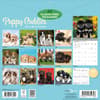 image Puppy Pals Plato 2027 Wall Calendar First Alternate Image