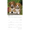 image Puppy Pals Plato 2027 Wall Calendar Third Alternate Image