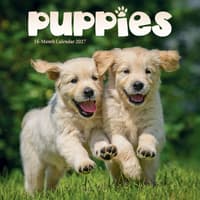 image Puppies 2027 Mini Wall Calendar Main Product Image