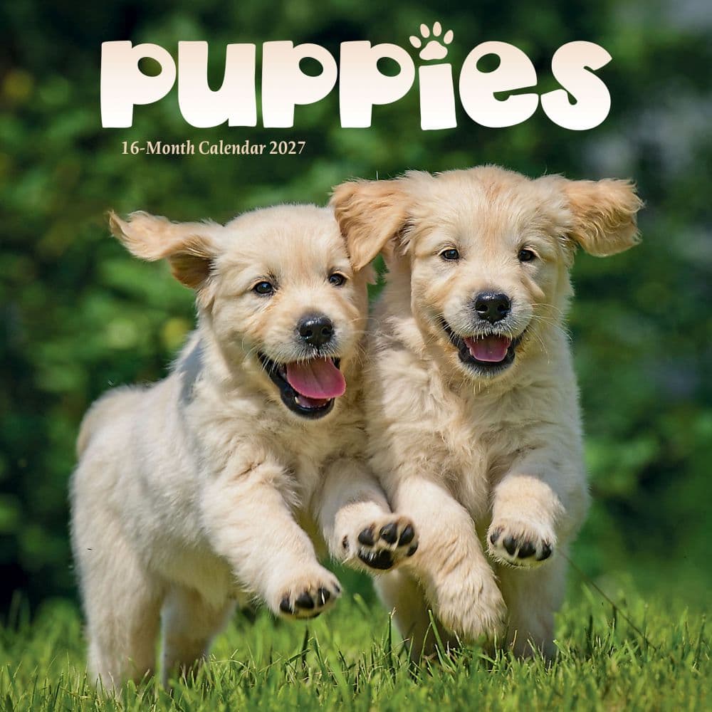 image Puppies 2027 Mini Wall Calendar Main Product Image