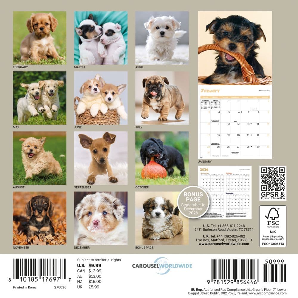 Puppies 2027 Mini Wall Calendar First Alternate Image