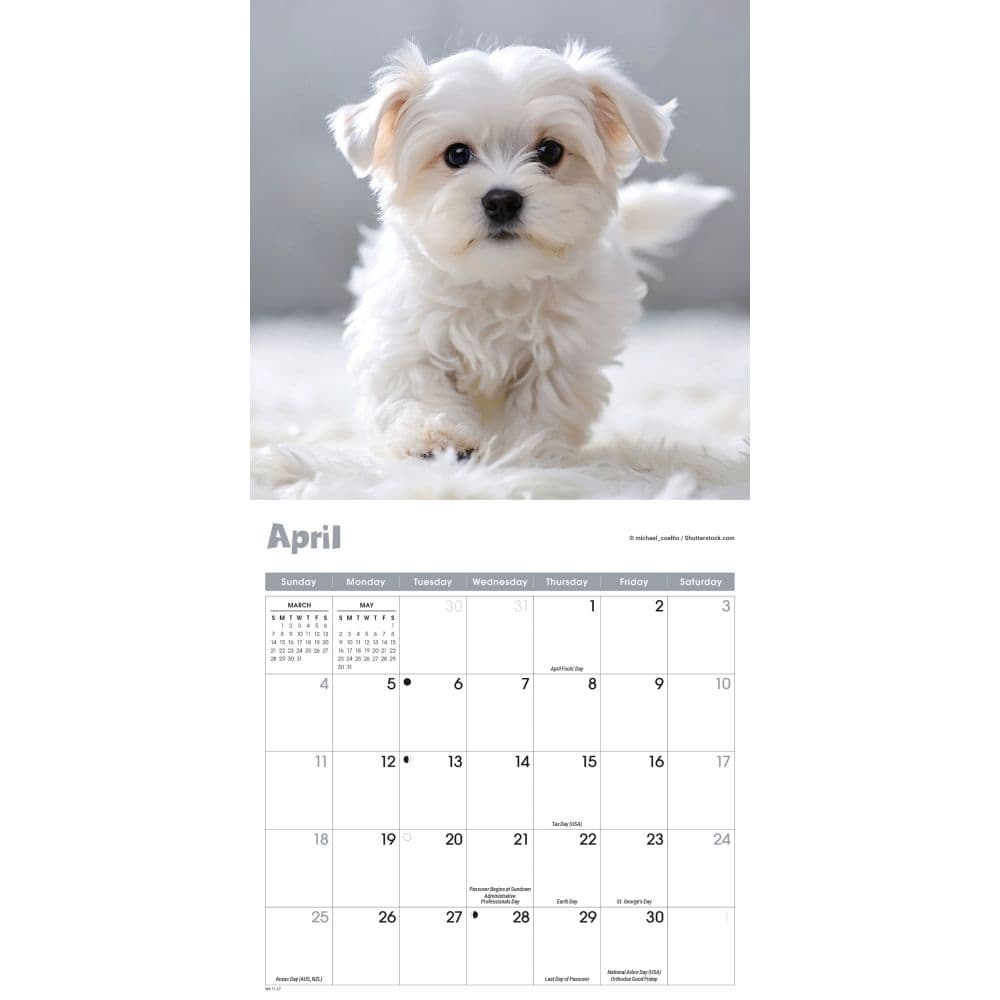 Puppies 2027 Mini Wall Calendar Third Alternate Image