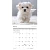 image Puppies 2027 Mini Wall Calendar Third Alternate Image