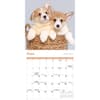image Puppies 2027 Mini Wall Calendar Fourth Alternate Image