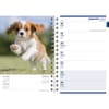 image Puppies 2027 Engagement Planner Second Alternate Image