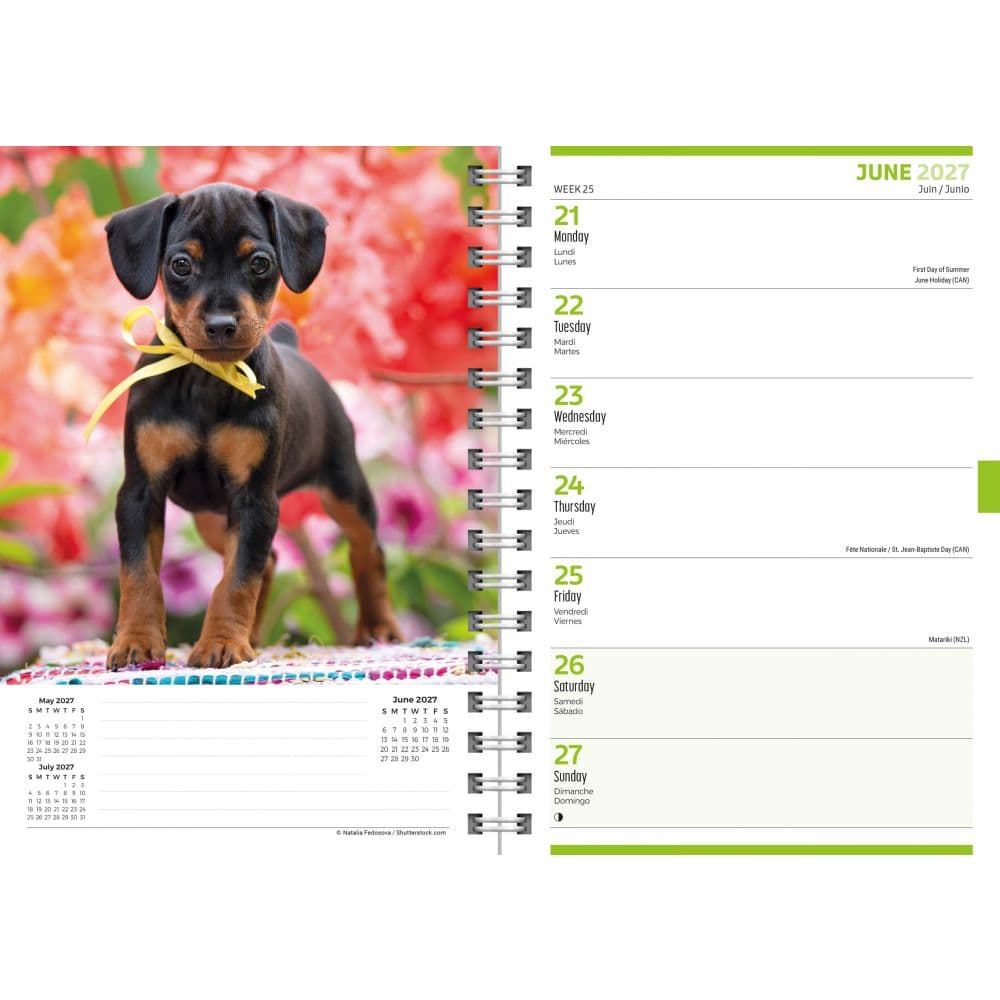Puppies 2027 Engagement Planner Third Alternate Image