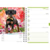 image Puppies 2027 Engagement Planner Third Alternate Image
