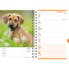 image Puppies 2027 Engagement Planner Fourth Alternate Image