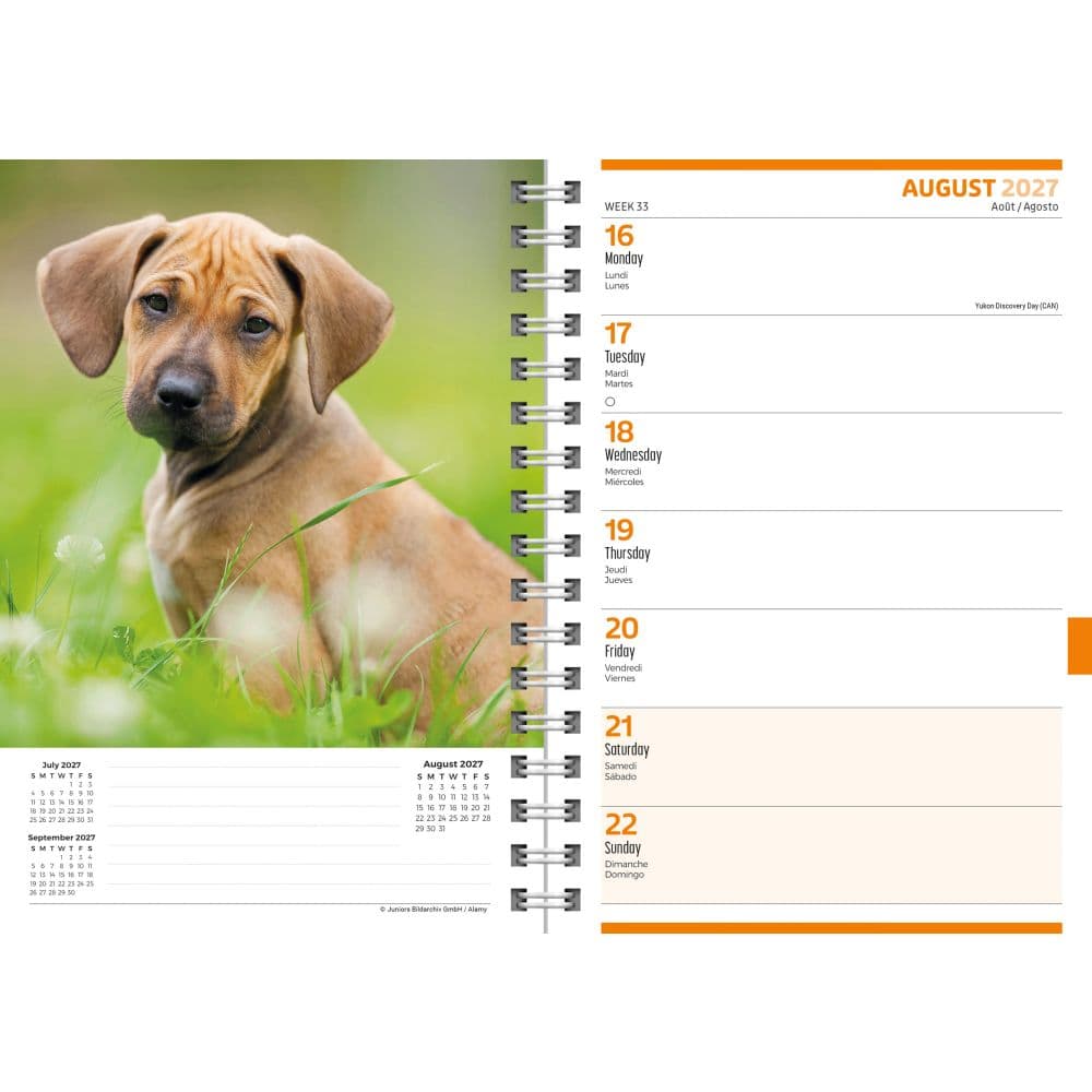 Puppies 2027 Engagement Planner Fourth Alternate Image
