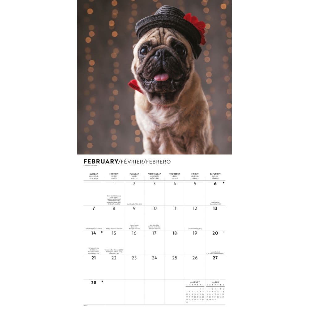 Proper Pups 2027 Wall Calendar Second Alternate Image