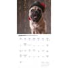 image Proper Pups 2027 Wall Calendar Second Alternate Image