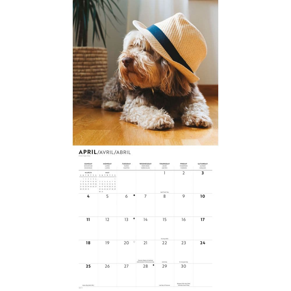 Proper Pups 2027 Wall Calendar Third Alternate Image