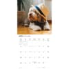 image Proper Pups 2027 Wall Calendar Third Alternate Image