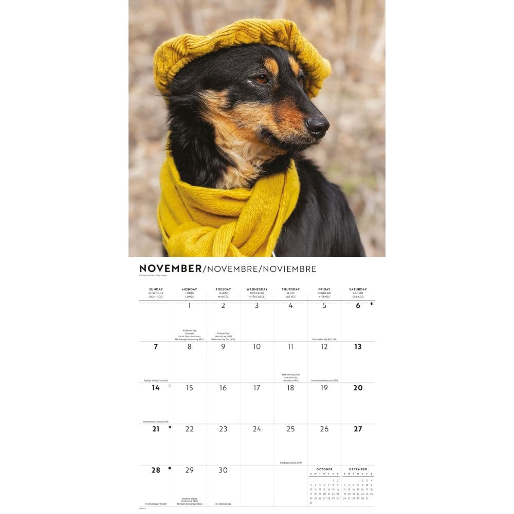 Proper Pups 2027 Wall Calendar Fourth Alternate Image