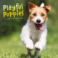 image Playful Puppies 2027 Wall Calendar Main Product Image