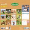 image Playful Puppies 2027 Wall Calendar First Alternate Image