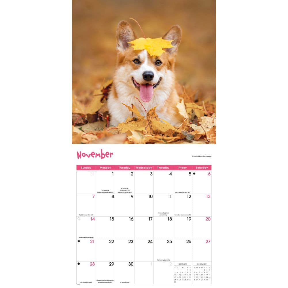 Playful Puppies 2027 Wall Calendar Fourth Alternate Image