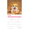 image Playful Puppies 2027 Wall Calendar Fourth Alternate Image