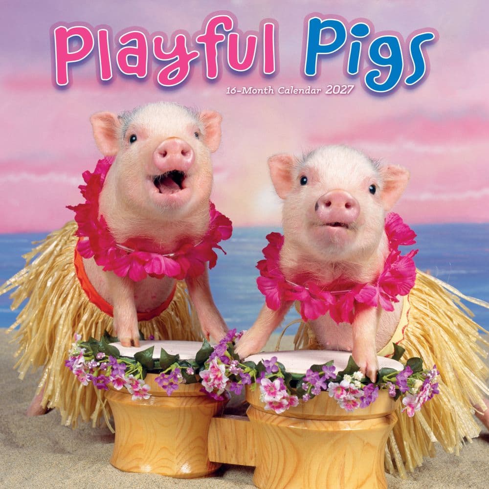 Playful Pigs 2027 Wall Calendar Main Product Image