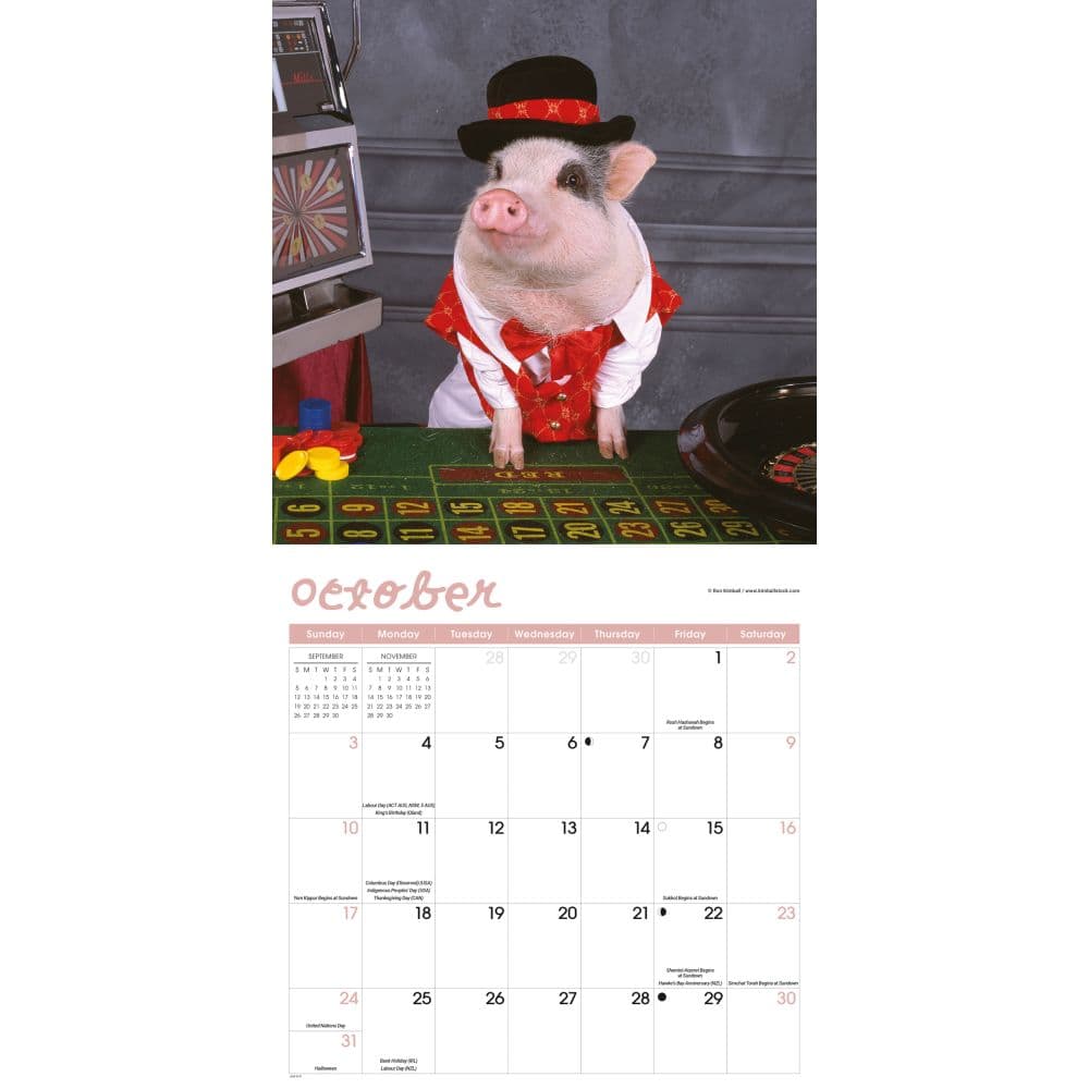 Playful Pigs 2027 Wall Calendar Fourth Alternate Image